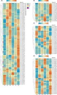 Arbuscular mycorrhizal fungus alleviates anthracnose disease in tea seedlings